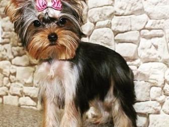 ����������� ������� ���� ����� ����� ,  ��� ��������� � ���������� �������� ��������������,  ��� ��������� ������� ������� ,  ������� ���� ��� ����� ������� ����� � ������������