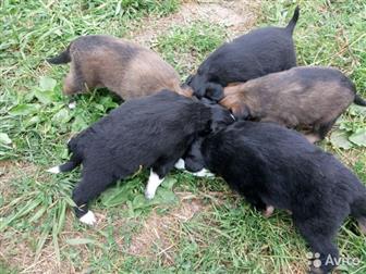 ����� ������,  ����� � ������ ����,  �������� ��� �������� �����,  ������� ���� ������, � ������������