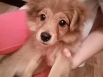 ���������� ������� ����,  �������� 06, 06, 2019 �,  �������, ��������,  �������,  ��� ����������, �������������� ��������� �������,  � ������� ������ � �������, � ������������