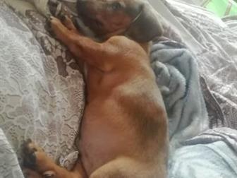 ������ ����� ����� �����,  ������,  2,5 ������, ���������� ������ ��������,  � ��� ����� ��� ����������� ����� ������ ����� � ������������