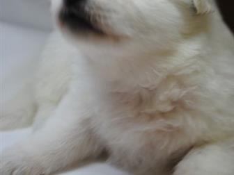 ���������� � ������� � ������������ ����� ����� ����������� �������, ��������� 9, 08, 19,  ����� ������� � ������ ��������� � �������, ���� �������� ��������, �������������� � ������������