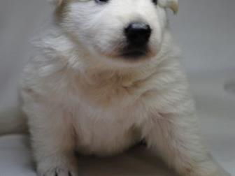 ���������� � ������� � ������������ ����� ����� ����������� �������, ��������� 9, 08, 19,  ����� ������� � ������ ��������� � �������, ���� �������� ��������, �������������� � ������������