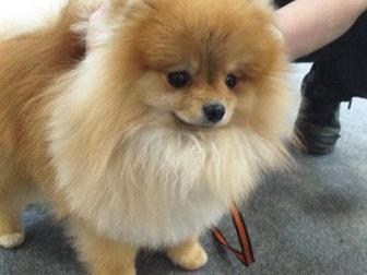 ��������� ���� ���������, ���������� ��������, ������� ����, ���� �������, ������������ ��������,  ��� 1, 5��, ���� 18��, ����� �����, ��������� ���,  ���� ������ � ������������