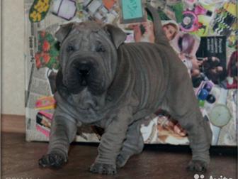 ����������  ������ ��� - ��� �������� ������ , ��� ������ - ���� �� �������� ����, ������ ����� ����������, ������������ ������ � ����������� �����������, ����� � ������������