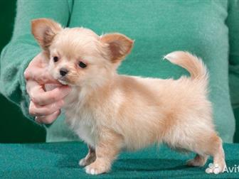 ��������� ��� ����� ��������� ������ �������� ������ ������,���� 6 � 6 �������,��� 2, 6 ��,����� �������� ���� � ������������ ������� � ����� �������� ������,�������� � ������������