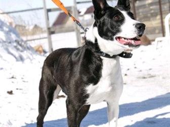 �����������, ��� ���� - ���������� ������� � ����� ����������,  ??����������� ���������� ������� ���������� ���������� �� ���� ������ �������,  � �� ������ ������, � ������������