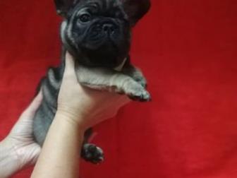 ������������ ��� �������������� ����� ������������ �������� � �������� �����������,  �� ������ �������� ����� ����� ������, ������� ��������, �������� �� ��������, � ������������