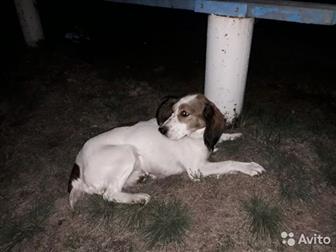 ������� � ������������