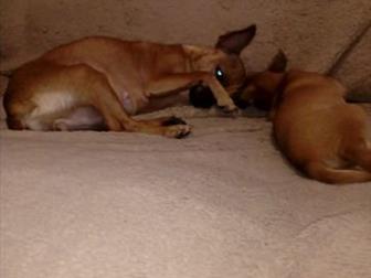 ������ ��������� ������!���� ���������������,���� ��������������, �������� 14 ����, ������, �������� �� ����������, ������� ,������, ���������� ���������,�����������, � ������������