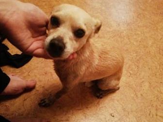 ����� ��������, � ���� �������� �� �����,  ����� ��� ��������,  ��������� �� � ������������