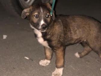 �������,  3 ������,  �����,  ���������,  ����� �� �������,  ����� �� ������,  �� ������� �� �����,  ����� ������ � ���,   ����� ����� � ������,  �������� �� �����, � ������������