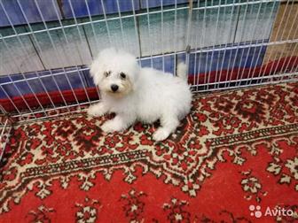 �������� �������!3 ���, �������,��� �������,�������� �� ������, ������ �������� ���, ������������, ����� �����������, ����� �����! �����-����������� �������! ������! � ������������