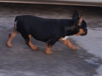 ��������� ������ (������ ��������)-������������ � �������, ����� �� �������!����� ��������,����� ����� �� �������� ����!����� ������ ������ ������������ � ����� � ������������