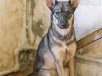 ��� ������ ��� ������, , ������� � ������� ,������� 5,5 ���, ������� �� ���� ���, ����� ������  40��,  � �����,  ����� �������� � �������� ����� ������� ����� ������� � ������������