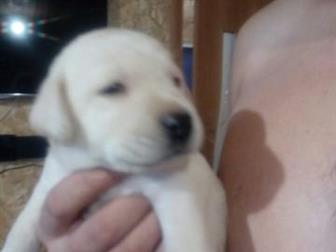 ����� �������� 31 ������� 2019,  �������, �������� ������,  ��� ���� ����, ������,  ���� � ���� � ���������, � �������, � ������������