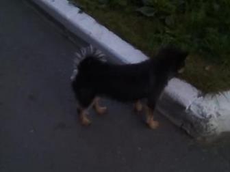 ����� ������ � ������, �������� ����, ������ � ����� � ��������� � ������ �����,  � ��������� ����� � ����� ��� �����������, ����� ��������, ������� � ������ ������, � ������������