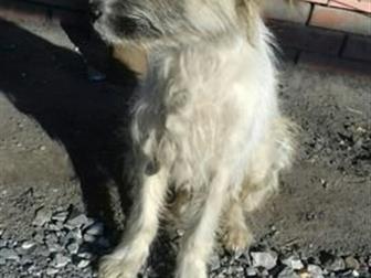 ����� ��� ������ ������ ������� ����������� ����� � ������������