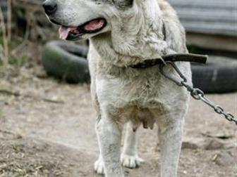 ?����� - ����� �������� ��������?����� - ����������������� ����������, ������� ������,  ��� ��������������� �������,  �������� �� ���� ������, ������� ������ ������, � ������������