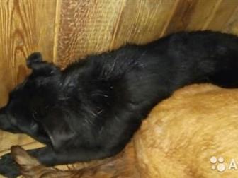 ���� � ������! ��� � ������!!!!������ ���� � �������� � �����?��� �� �� ���� �������?������� ����, � ����� ������ �� ������!������ ���� � ������ �������� �� ����, � ������������