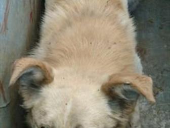 ���� ��� � ������������� ������, ��� �������!!������ ���� � �������� � �����?��� �� �� ���� �������?������� ����, � ����� ������ �� ������!������ ���� � ������ �������� � ������������