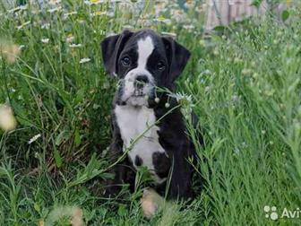 �������� ��������� ����,  ������������� ��� ������� � �����,   ����� ������� �������, ������� 07, 05, 2019,  �������� ������ ���� � �����,  �����  ������ �� ��������, � ������������