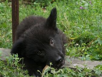 �����������! � ��� ��� � �������! � ������ ��������� � ��� �� ���� ������, ��� �� �, , ,  ����� � ���� ������, , ,  �� ���� �������, ��� � ���������!))) � � �� ����)) � ������������