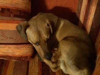 ������ ���� ��� ������� ��� ������ ������� ��2-3���,  ��������� ������� �����, ������� , �� ������,  ��� ���������,  ���������, ������, � ������������