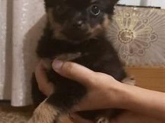 ������ ����������� ����� ���-�������,  ������ ���,  ����� ��������� �����,  �� ������ ���� ����, � ������������