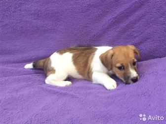 ��������� ����� ����-������, ��� ��������,  ���� �������� 07, 08, 19,  �� ������ ������� ��������� ��� (������� �����), ������������ �������, �������� �� ��������, � ������������