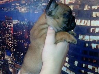 ��������� ����� ����� ����������� �������� � ����������� ���, �������� � ��������� ��������, ������ ���� � ����� �� �������, ����� ����, � ������������