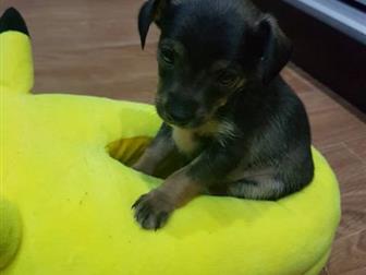 ������� ��� ������� ���� ������� ��� � ���))) �������� 29, 08, ����� ����� � ������� ������, 3 �������, 1 �������,  ���� ��������(4200), ���� ����(1800), � ������������