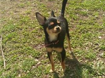 ������� ��� ������ ��� ���������� ������� 1���, ,��� 2��,  ���� ��������, � ������������