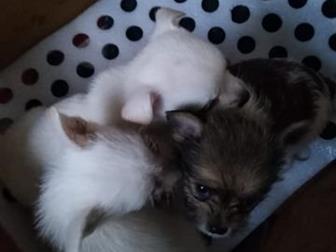 ��� �������������� ��������, �� ��������� ������, ���� ������������ �������� � ������������