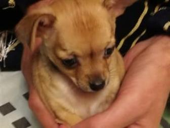 ������� �������, �������� 06, 08, 19 �� ������ ���������,  ������, �������� �������,��� ����� �����, ���� ��� ������, ������ ��������������, � ������ ��������, � ������������