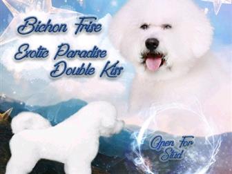 ������������ ��� �����  - �������, ������������� ������ �� ������  ������� ������� ����� ����,  ���� ����������  ��� �� ������������  �������� ,��������  � ���, � ������������