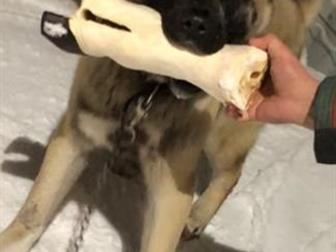 �����1,5 ��������� �������� ��������������������������� ��� ���������� � ������������