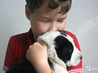 ���������� � ������� ����� ���, �������� �� �������������� ��������� ����,  ������� ������, ��������, � �������� �������, ������� ��������, ������ �� ������,������� � ������������