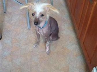 ����� � ������������