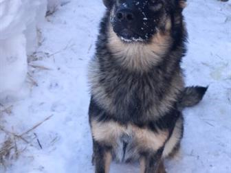 �����������, ������, �������������,  ���� ���������� ������ ��� �������� �������� ����!�������, �������, �������� � ��������� ���� ����� ����� ������� ���! ������� � ������������