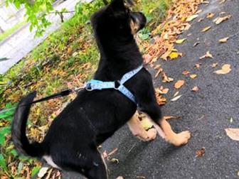 ����� ������ ���� ������� �� �������� �� ����� � ����, ������ ��������� �� ���������� ���� � ������, ������ ����� � �������� ����������� 3, 5������� ��������� �������� � ������������