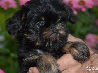 ������ ������ ������������ � ������������� ��������, ��������� ���, ��������, �������� � �������,  ���� ������, � ������������