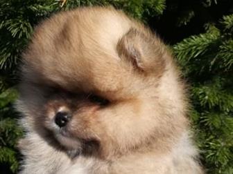 �������� �����,  �������� 4, 08, 19 � 5, 08, 19,  ���� �������� � �������,  �����  ��������� ���� , � �������  ���� � ����-������,  ������,  �� ����� �����������, � ������������