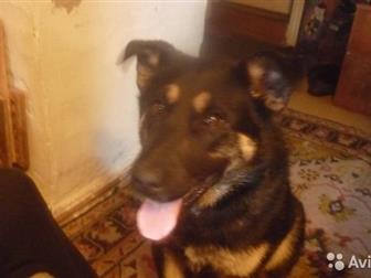 ������ ������� ����������� ׸�����������	�������, ����� ����� ��� � ����������, ��� �������� � ������������