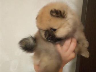 ��������, ��������, �������� ������� ��� �����������,  � �������� ���� ����� ������, �����6/6,������ � ������� ���������,  ���� ����� ����, ���� ���������, �������� � ������������