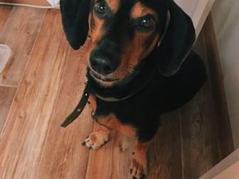 ���� ��� ���������� ������� ������� ������� ������ ������??, ��� �������� 2-3  ������ ����� ����������� ��������??����� ���������� ��������� ���������� � ������ � ������������