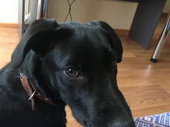 ����� � ������ ���� ����� ���������, 5 ������������ �����, ������ � ��������� ���������� �������� �� � �����, �� � �������, �� � ������������ � ������, ������ �� � ������������