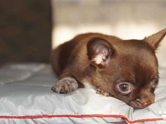 �������� ���������� �/� �������,  ���� �������� 27, 07, 2019,  ����� �� �������� �������,  ��������� � �������� ��������� �������,  �������������� ������� �� ��������, � ������������