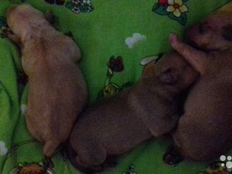 ������ ������ ����������� �������, ��� �������� � ���� �������,  �������� 23, 09, 2019�,  �� ���� ����,  � 23 ������� ������ ��������� � ����� ���, � ������������