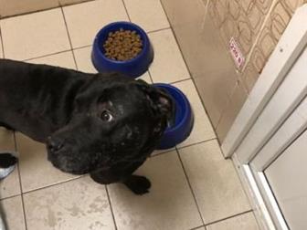 ����� � ����� ������ �������� �� ������ ���� ���� �����!���� ���������� � ����, �� ����� ���� ��� ��� ������ ����������� ����� � ����� ��� ��������, �������� �� � ������������