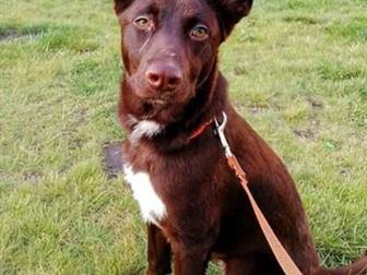 �������,������� 9 �������, �������������,����������,�������� � ������,����� � ������� ��������, ������� � �������� ��� � ��� � ����������� � ����, � ������������